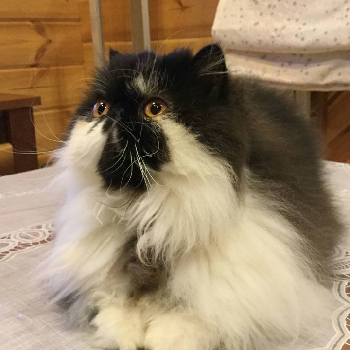 8b092a12 7385 4b1f abc2 9ddab4af631e