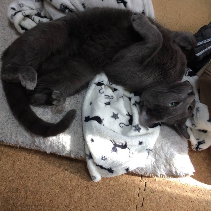 8b095c53 c272 447b b0d5 f3f91f23a56c