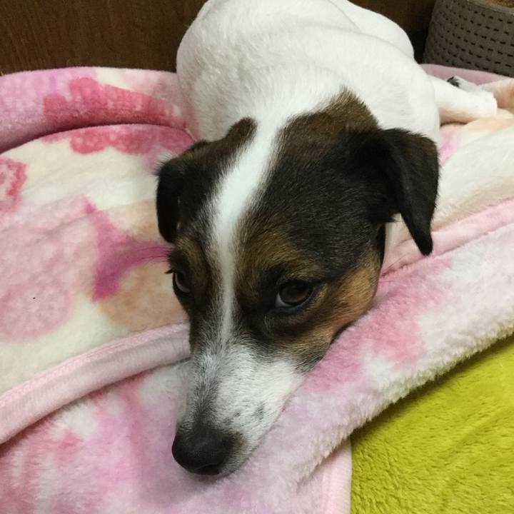 8b09835f 36e4 48b4 b0c0 06842e74a8bb