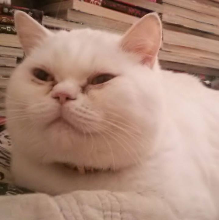 8b098ce0 1cab 496c 8229 33e5a744a074