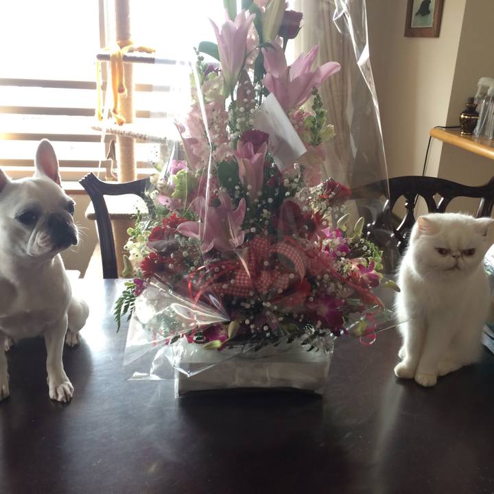 8b09ca7c 3a3e 469a 9b95 8bf33cfb3f40