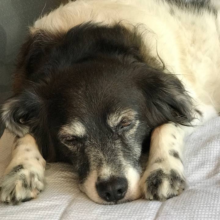 8b0a3f63 9e3a 4c9f bbc7 01d789948115