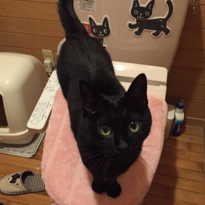 8b0aaf74 2992 4df1 accf d7ca967107cc