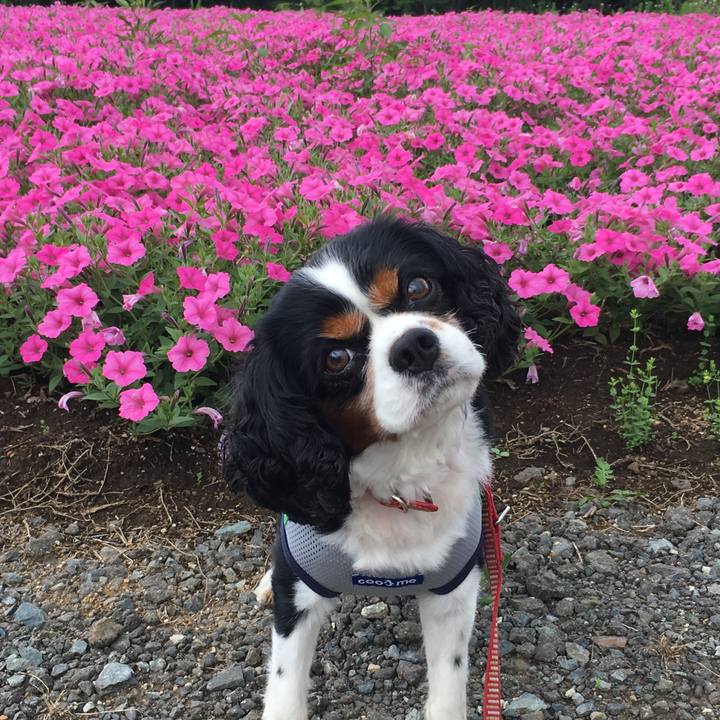 8b0ba34d 9d6a 4df0 b6ab 73b3241caa16