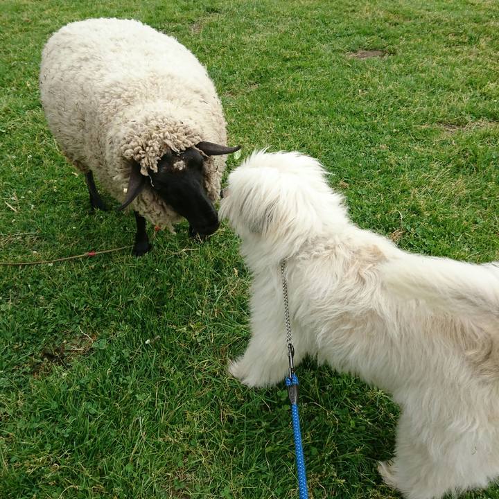 8b0bbf6e ccd7 45fd 9fd2 fa45959aea0f