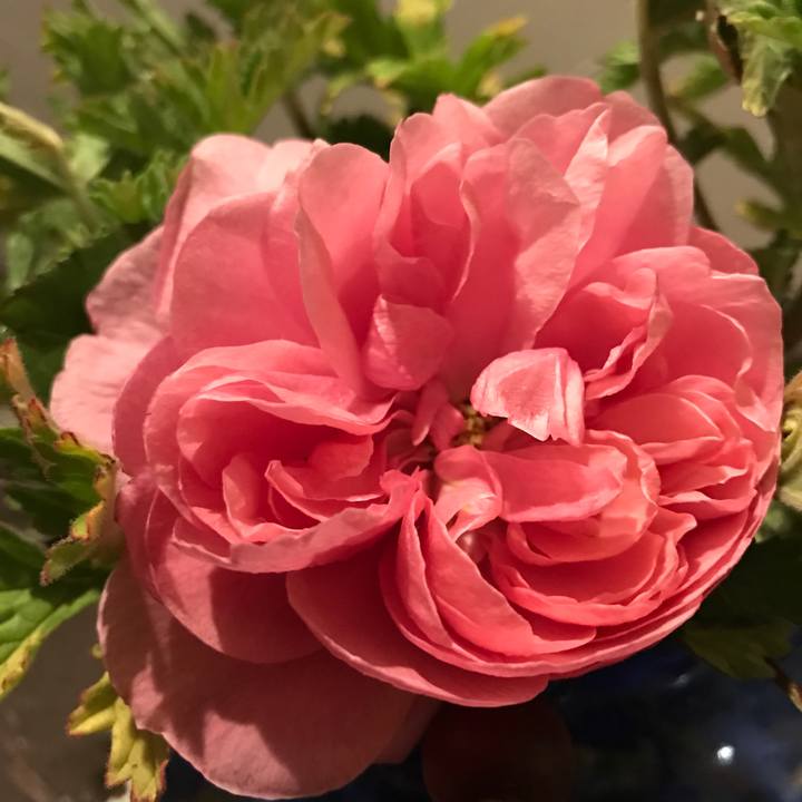 8b0bec04 4fd7 4157 85fb c9c7b42889a4