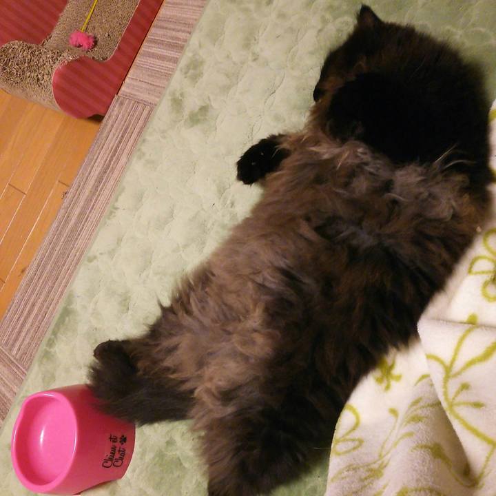 8b0caa29 a205 4fe2 9786 1f8e36ba870a