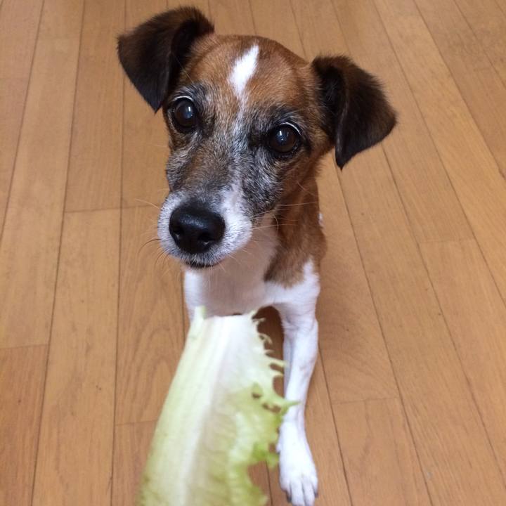 8b0cf8dc 8a5a 403d aedd 366f1999c39c