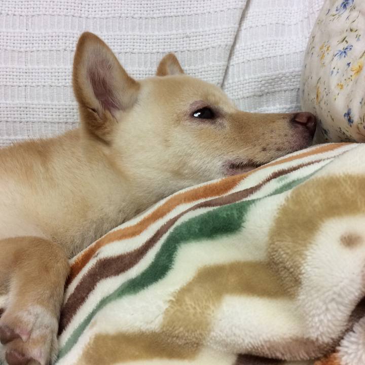 8b0d300b 2366 4133 af65 48fce63e6fa2