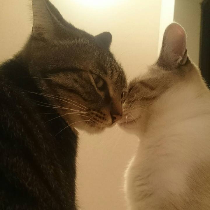 8b0daa1a b57f 48db 9361 4652c43cfe9d