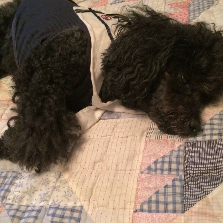 8b0eb335 e964 4347 a78d b36c63b8b7a0