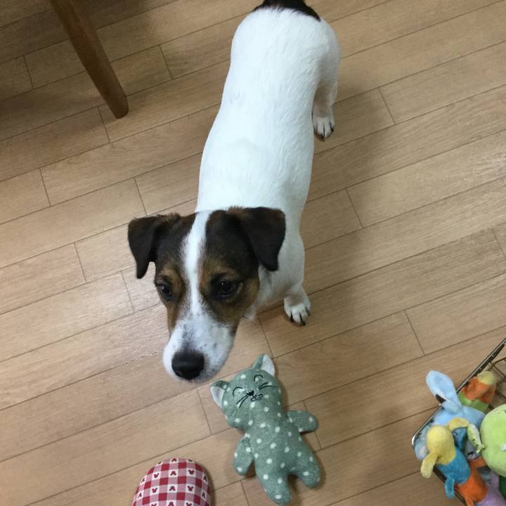 8b106001 aa3c 4c44 8b7e 3bc2164fb479