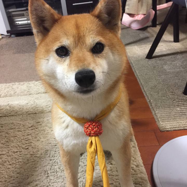 8b1064a9 3bf1 4e26 a08a 2acac271227e