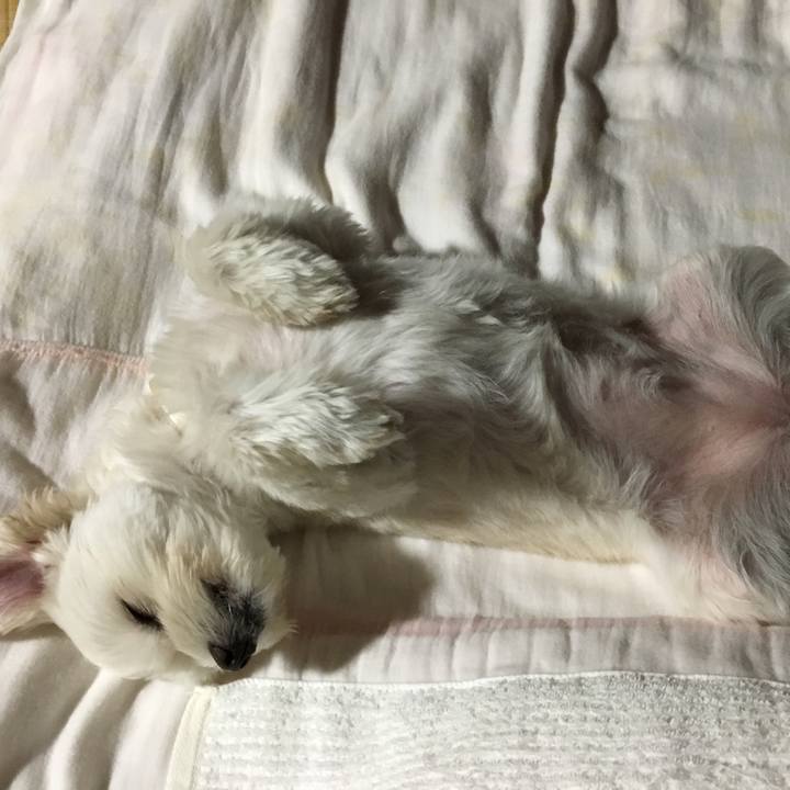 8b118269 e0cb 4d35 9c5b ecbccbf8a6f1