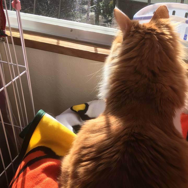 8b123efc 4184 4ee7 8010 8de1259dc8d2