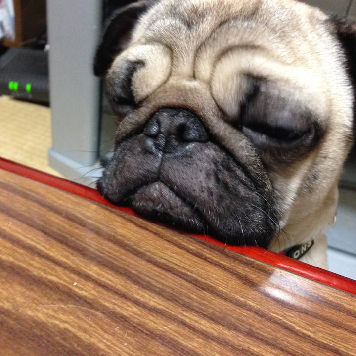 8b124533 aa5b 4a2b bb85 0dad462c4475