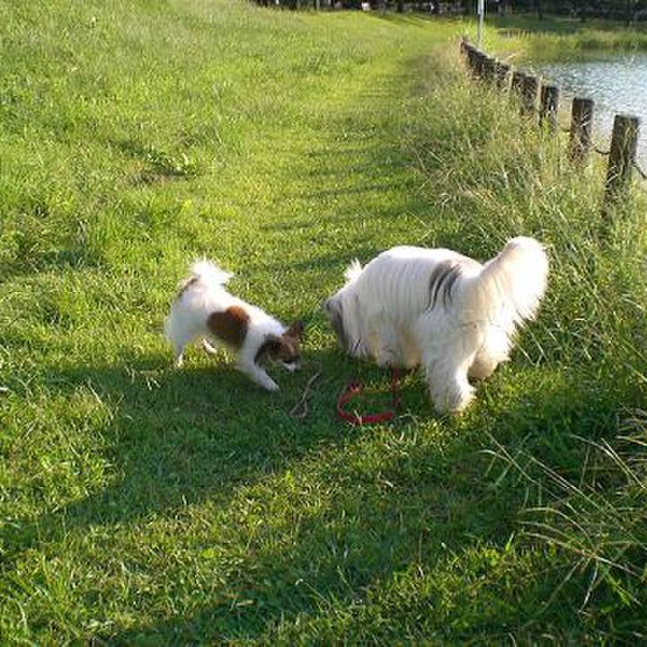 8b12fc35 3d29 43b7 b132 687e17d70a15