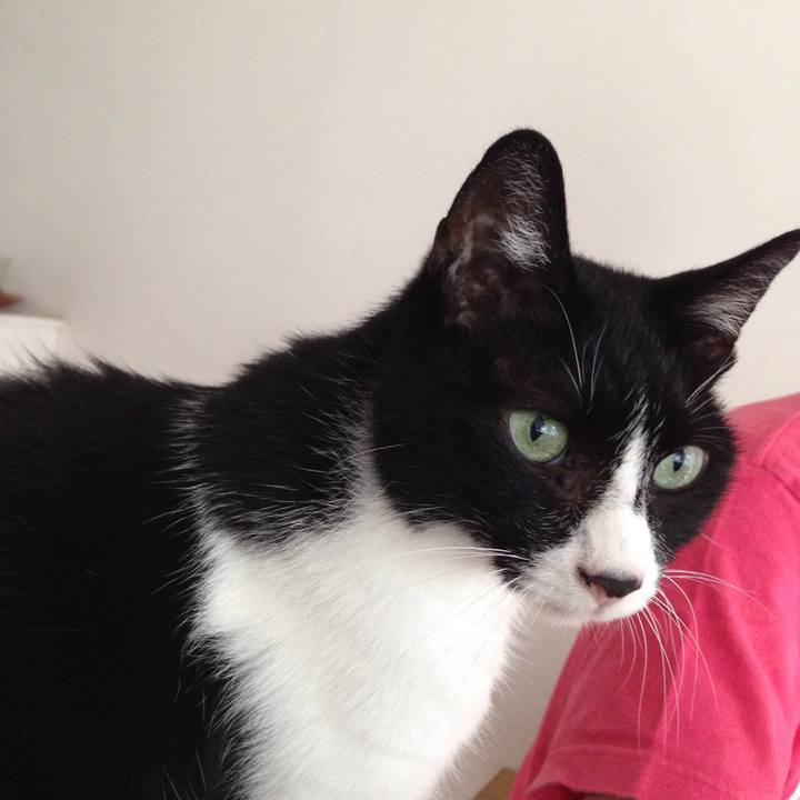 8b1366fe 1723 4c5c 9f1f 1d220313d55e