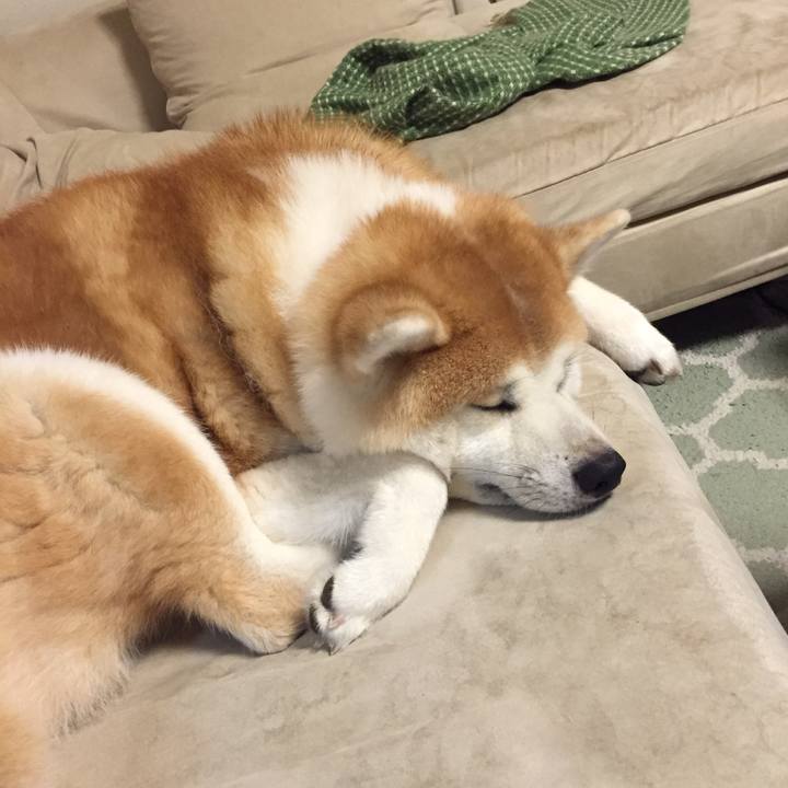 8b13cd16 6994 439c 8366 e8e101501cde