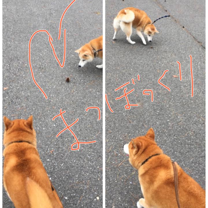 8b13f104 8c6b 418e 90dc 9dcbb17fb445