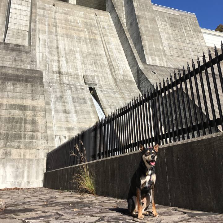 8b1727d0 8425 44c7 bc82 2e8ad3e85d1f