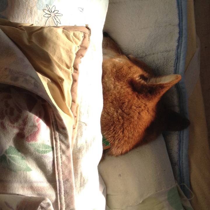 8b173700 776e 45dc 986d 0a5986bbf07f