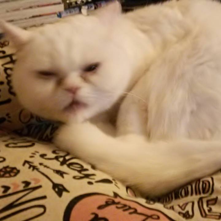 8b174ff2 6123 45b3 9343 1764ec57edde