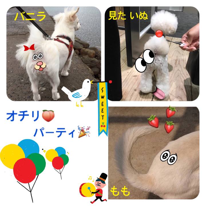 8b17ad22 8acf 4e58 8fa0 0466b4c06ad0