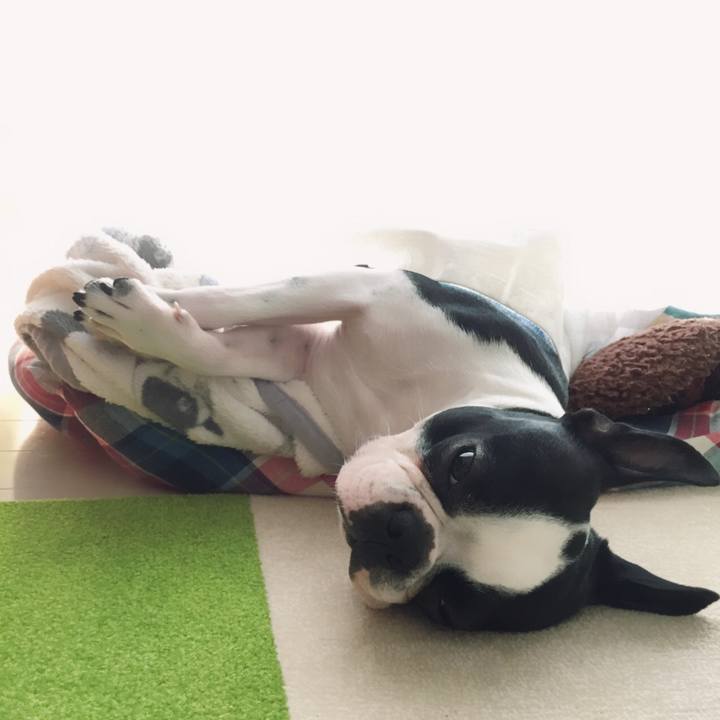 8b180d41 b93d 4c91 98e0 ff7daf3838cc