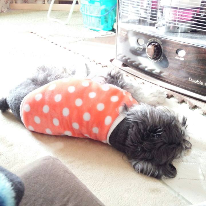 8b1924fd 89fc 48db 93d7 3b86b8f3f6eb