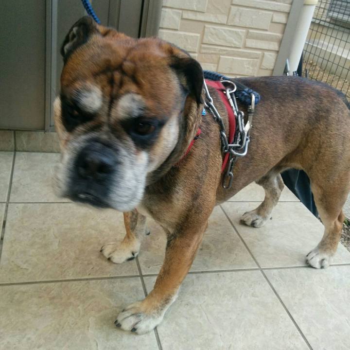 8b198aa9 c70d 4d4e a2e2 47dd41f05608