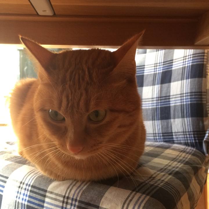 8b199539 c69f 4e84 a92f be8e3d5b5647