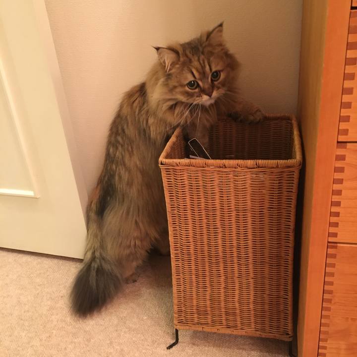 8b19f192 97fe 4024 b3fe 854ec2e6c3d3