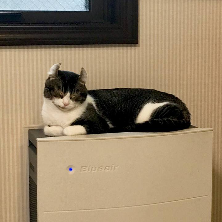 8b1ad926 e79b 450b 9aef d7bb1767b724