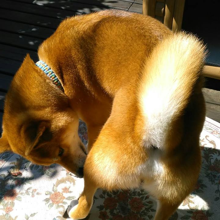 8b1ae6ff 06fa 4dd4 95f2 538e3ca22a9e