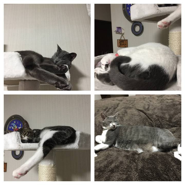 8b1b3890 3663 4eb2 905b 7d0f2ab36c0a