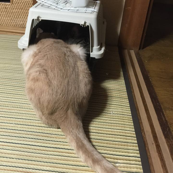 8b1bf297 e8b0 448f b80e d97f10e6491b