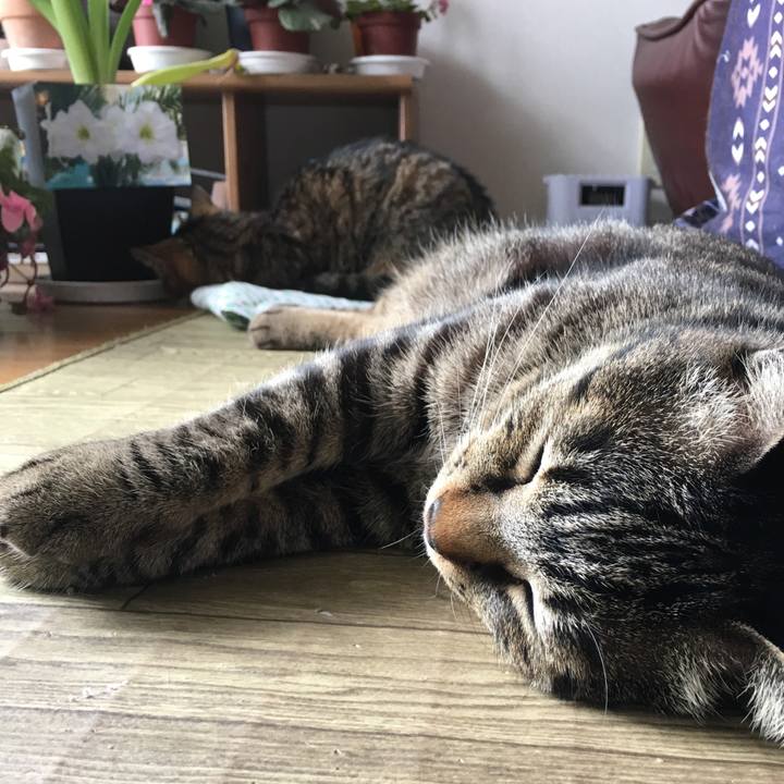 8b1c1119 0142 44db 9d2f d04628452b35