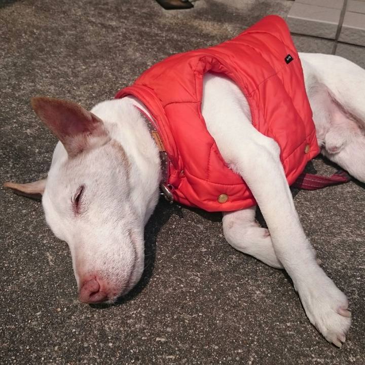 8b1c4fcc 91f0 4741 b093 34c633f2b15a