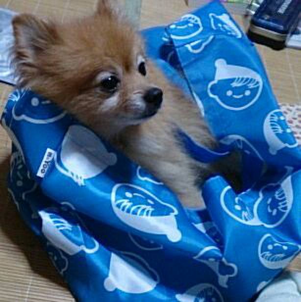 8b1c5801 eeb6 4706 a349 ffdffd065ee1