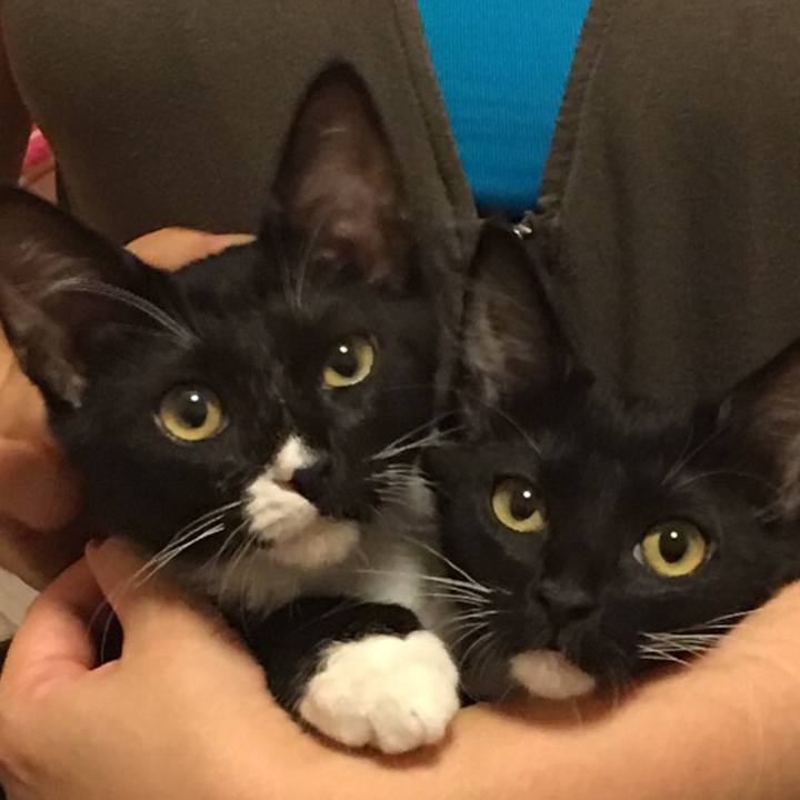 8b1ca53c 59ed 4da8 abce 4347eb95ccd5