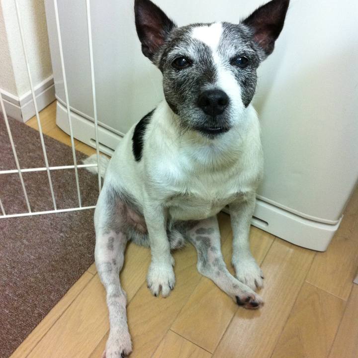 8b1cd094 8806 4bb7 9749 5748b63b1cfb