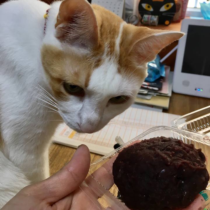 8b1ce927 3308 4e9a 83bf 4b4bfe59f94e