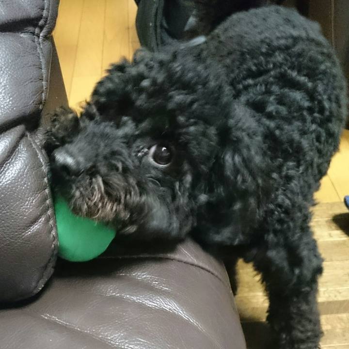 8b1d5db7 78bf 46c4 8f16 ab57a9864bc4