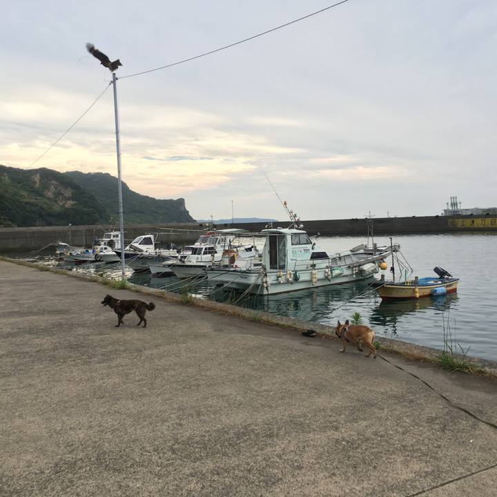 8b1d7969 0a26 4170 8104 255efa276722