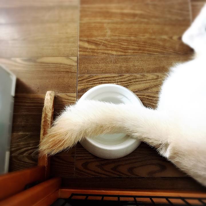 8b1dabeb bc67 479c 9911 fcb205898446