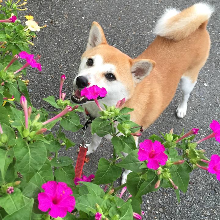 8b1dba2b 9e84 46cf 9211 d496f881e215