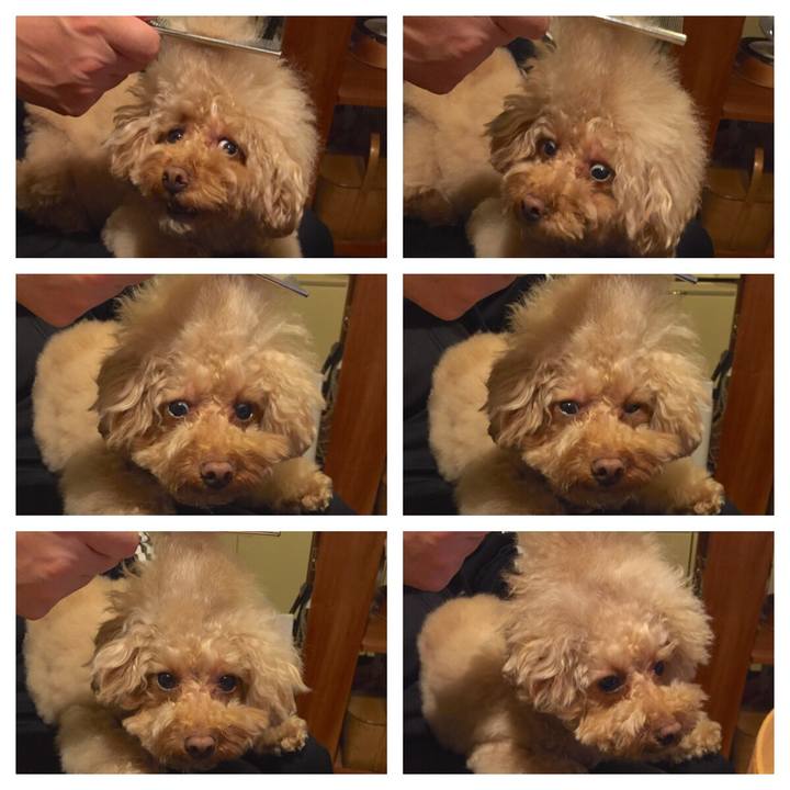 8b1e2155 76e2 49d3 8b88 03276f42ddc6