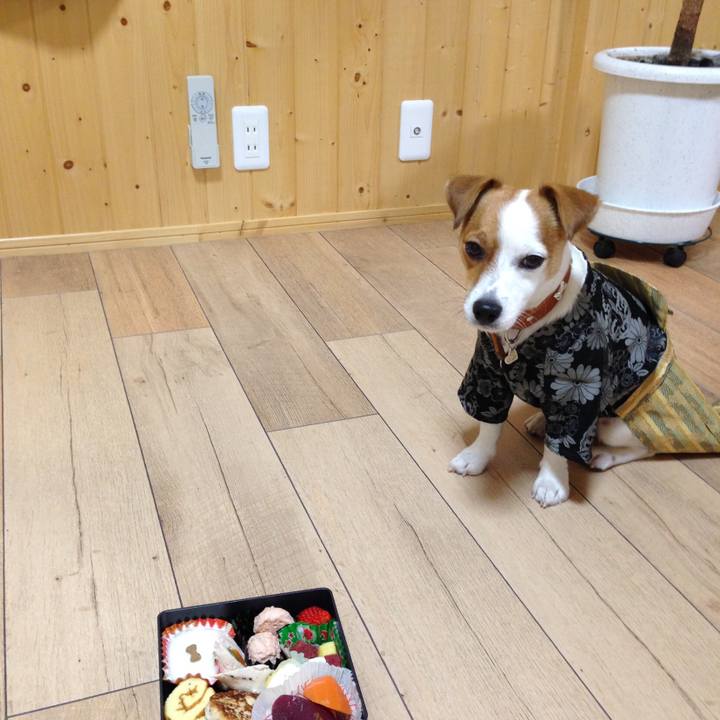 8b1e3f82 743c 426f 9b4b b52f948a69eb