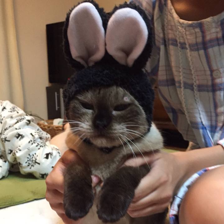 8b1e6529 ce7a 4592 beb9 cf30dcea30de